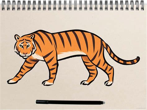 老虎畫|中国画老虎，简单易学适合儿童和初学者 How to draw a tiger,。